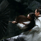 Illustration for article titled iHero /idirector Zhang Yimou finds beauty in opposites in the visually stunning iShadow /i